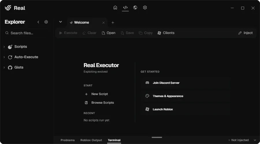 Real Executor