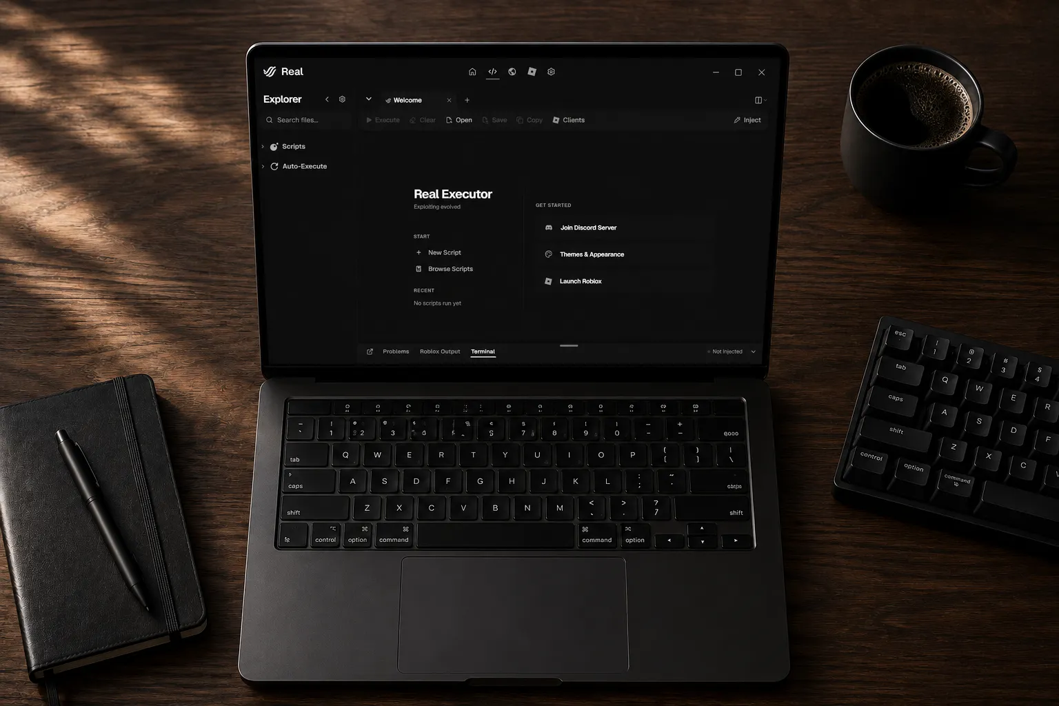 Real Executor on a laptop